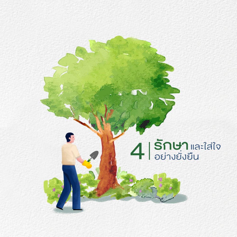 Sansiri Tree Story 35 ปีที่ แสนสิริ