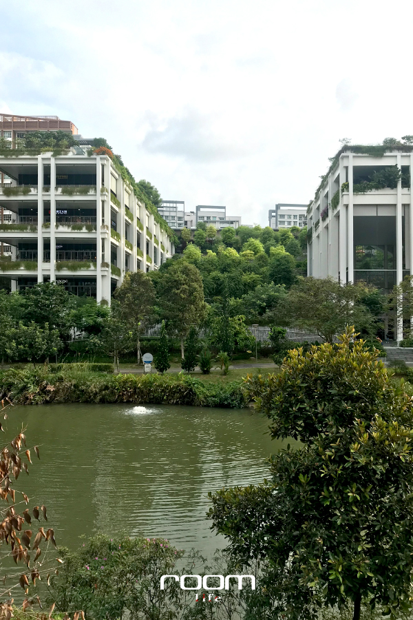 OASIS TERRACES