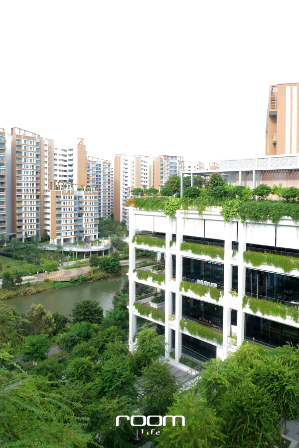 OASIS TERRACES