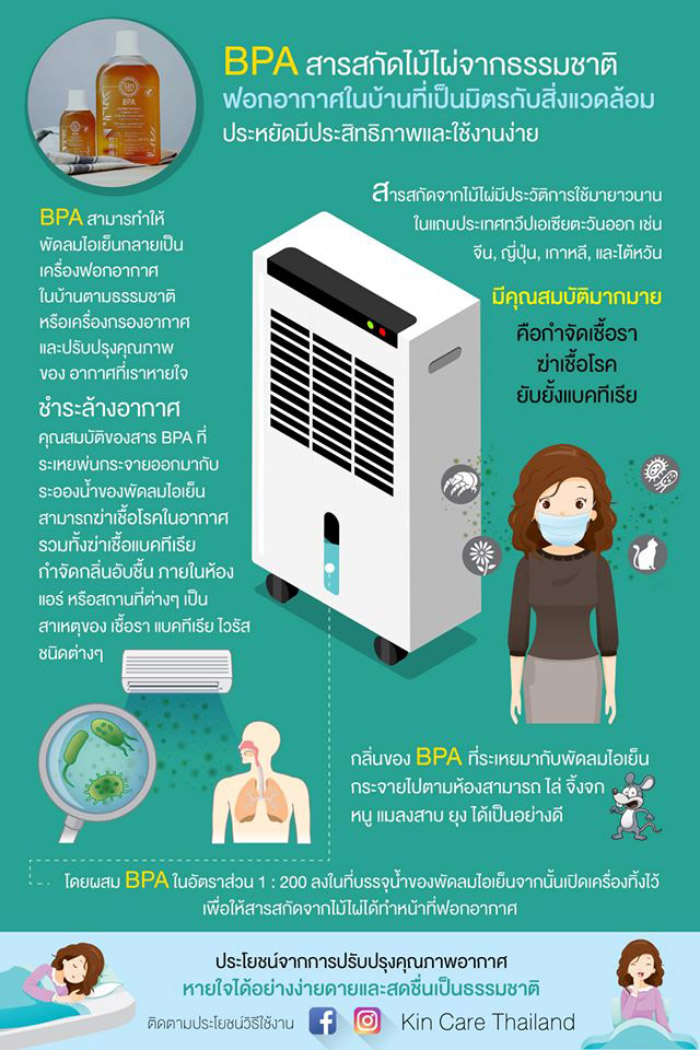 เชื้อราในบ้าน น้ำส้มควันไม้ BPA Kincare