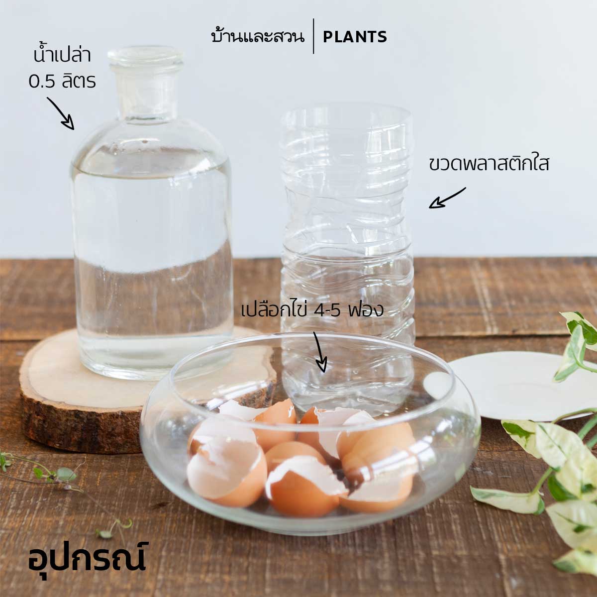 ปุ๋ยน้ำจากเปลือกไข่