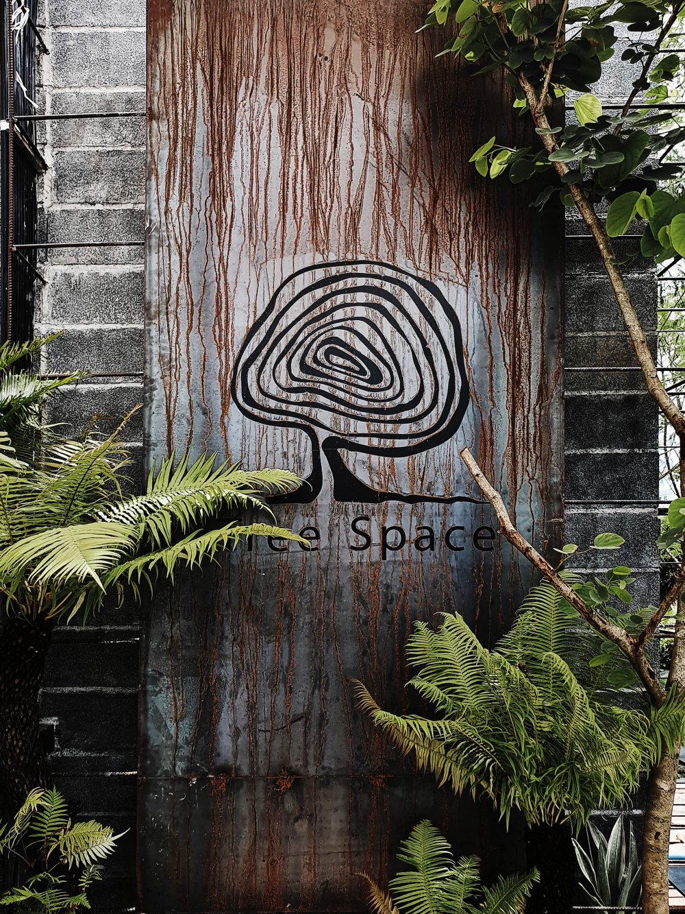 คาเฟ่สุราษฎร์ฯ TREE SPACE ร้านขายกระถาง คาเฟ่ต้นไม้