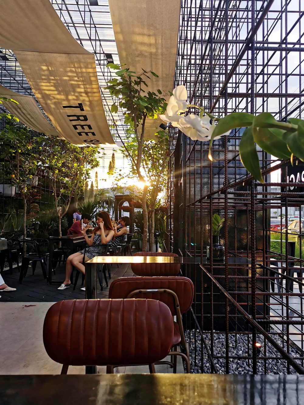 คาเฟ่สุราษฎร์ฯ TREE SPACE ร้านขายกระถาง คาเฟ่ต้นไม้