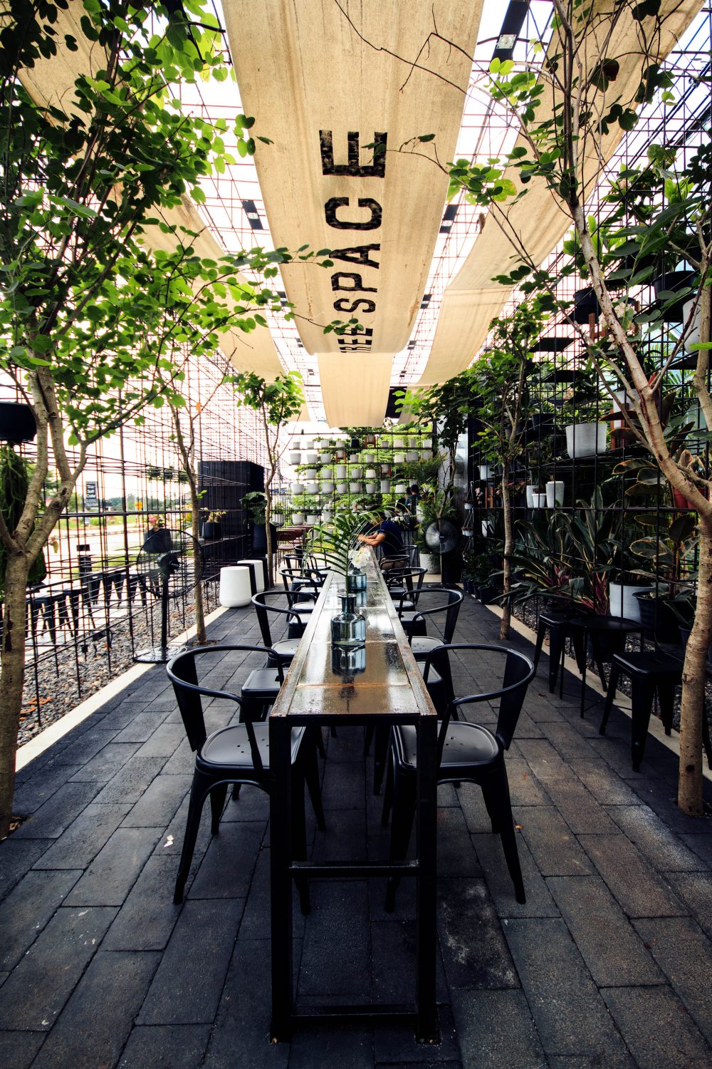 คาเฟ่สุราษฎร์ฯ TREE SPACE ร้านขายกระถาง คาเฟ่ต้นไม้