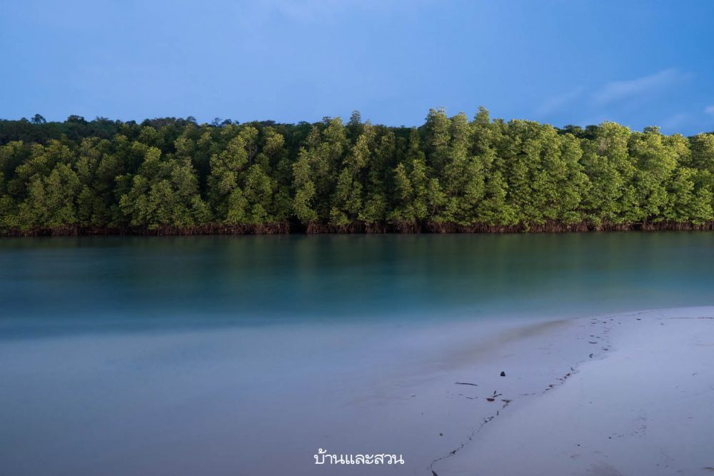 The Little White Bird Guest House ที่พักเกาะกูด