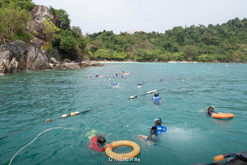 The Little White Bird Guest House ที่พักเกาะกูด