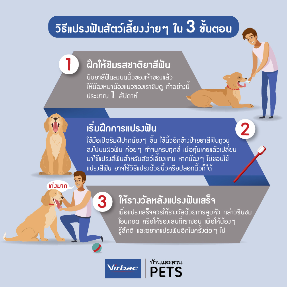 วิธีแปรงฟันสัตว์เลี้ยง