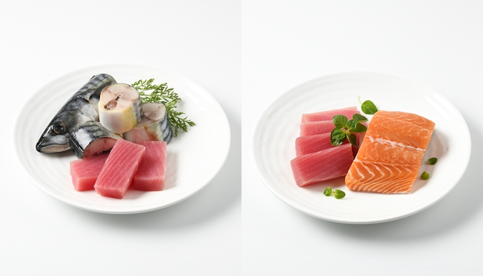 เลือกอาหารแมว monchou Balanced อาหารเปียก อาหารมื้อหลัก อาหารแมว