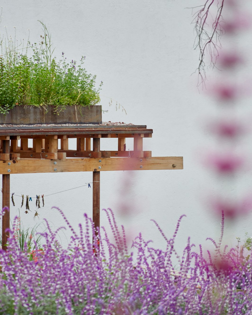 EI TERRENO COMMUNAL GARDEN ศาลาในสวน ดอกไม้ ประเทศเม็กซิโก