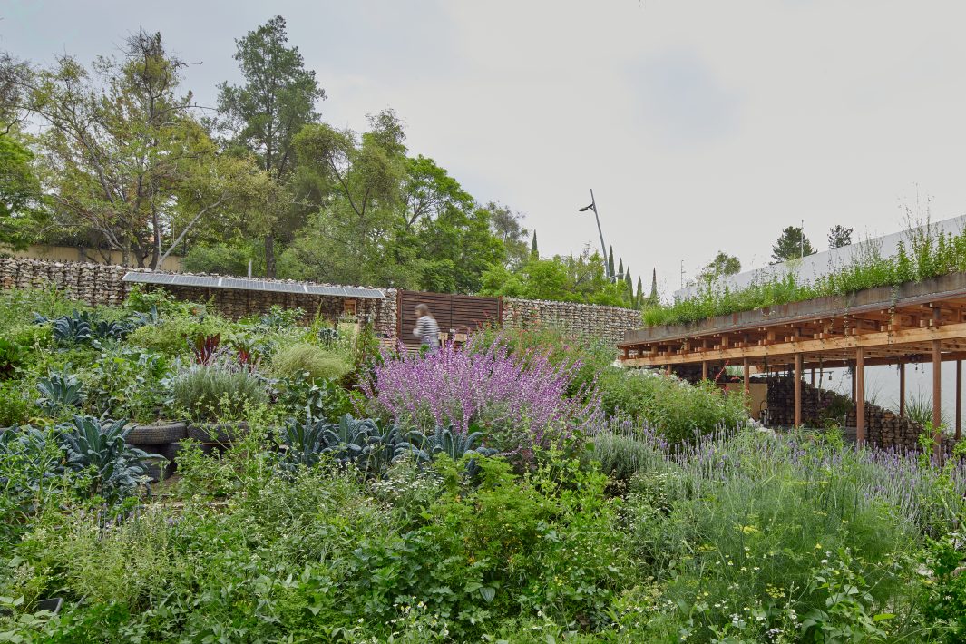 EI TERRENO COMMUNAL GARDEN ศาลาในสวน ดอกไม้ ประเทศเม็กซิโก