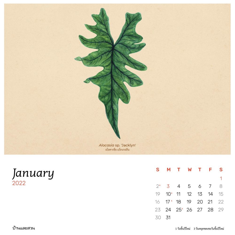 ปฏิทินปี2565 ปฏิทิน 2565