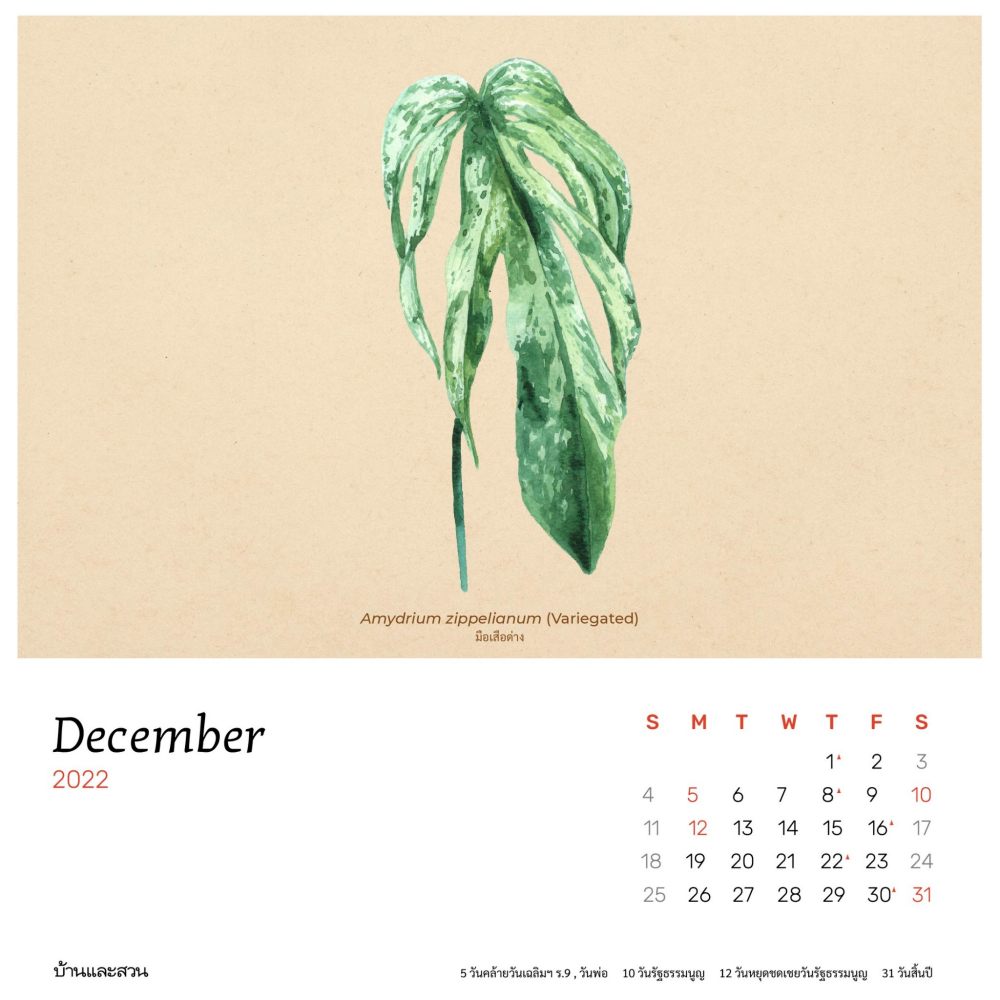 ปฏิทินปี2565 ปฏิทิน 2565