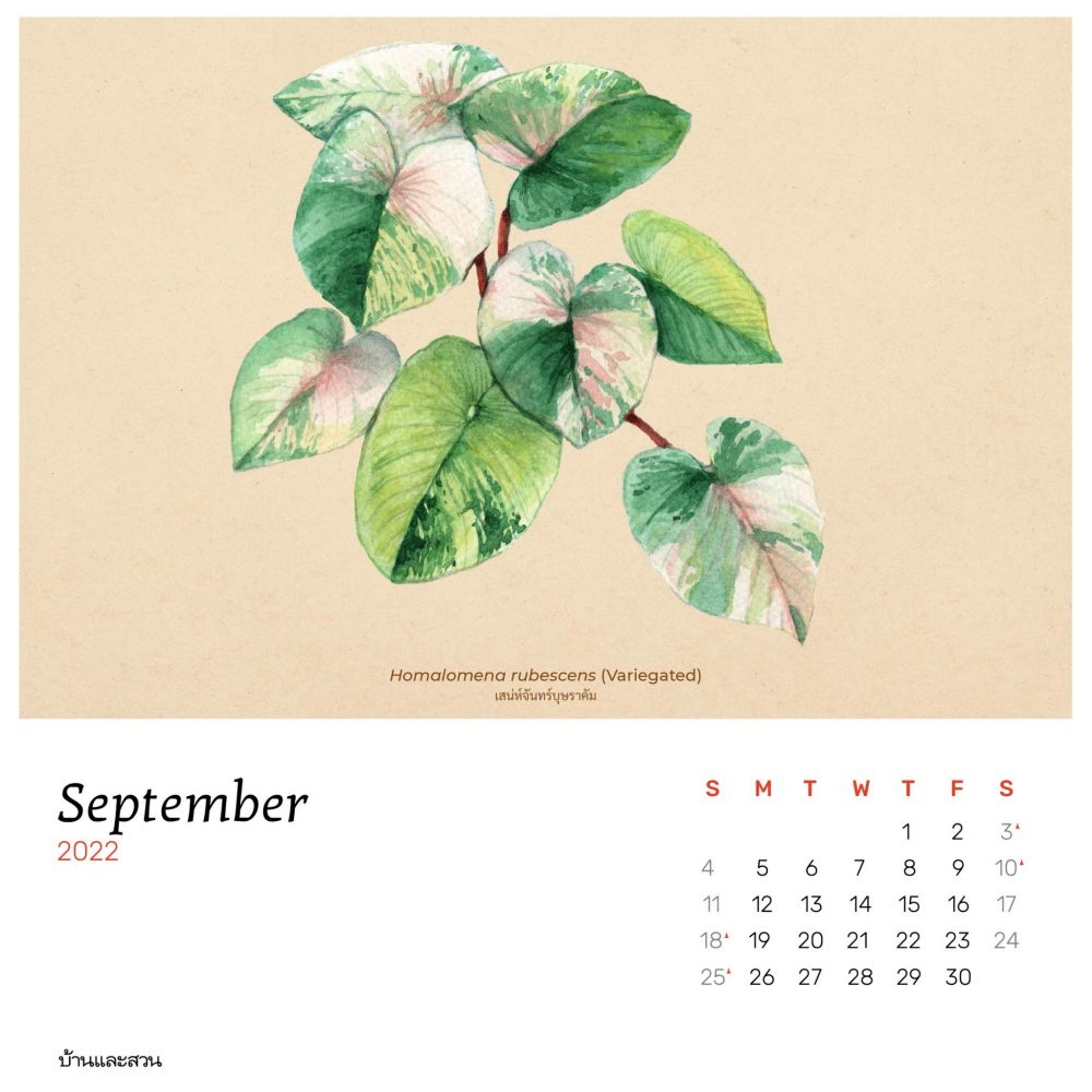 ปฏิทินปี2565 ปฏิทิน 2565