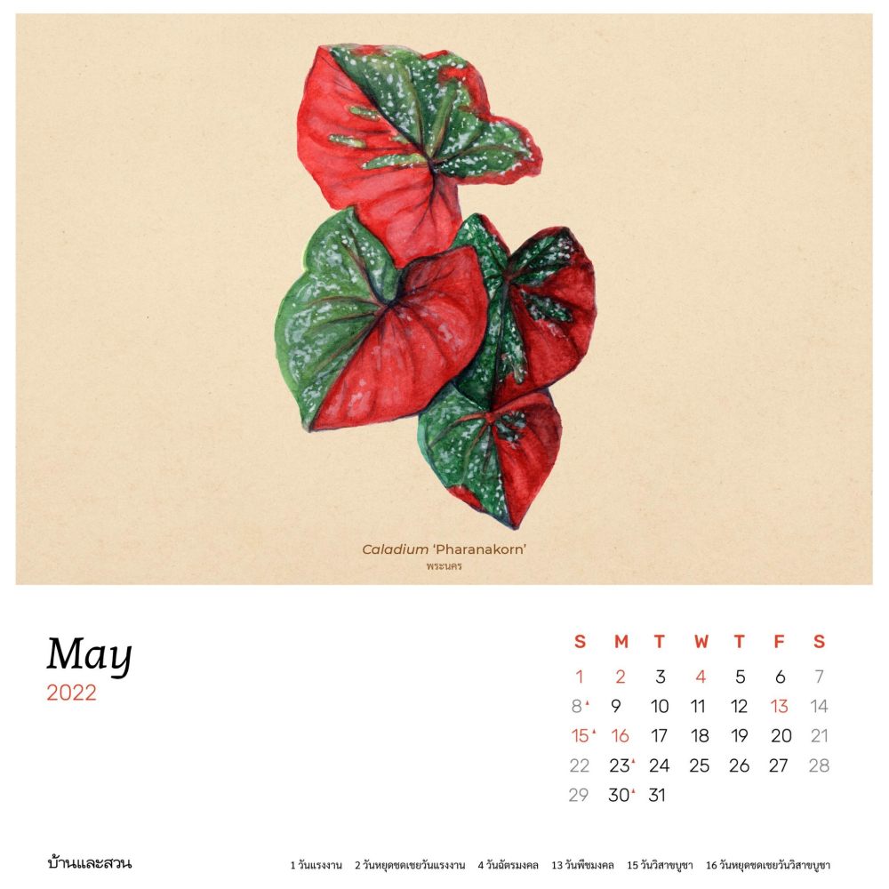 ปฏิทิน 2565