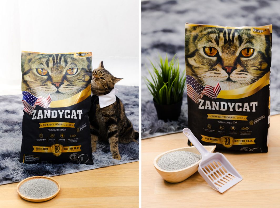 ZANDYCAT ทรายแมว ห้องน้ำแมว เลือกทรายแมว ห้องน้ำแมวอัตโนมัติ เลือกห้องน้ำแมว