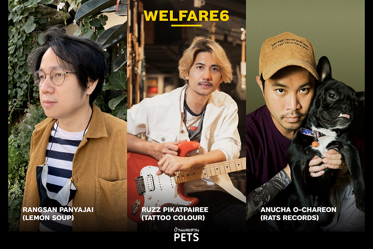 Music for Dogs & Cats