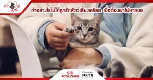 Royal Canin