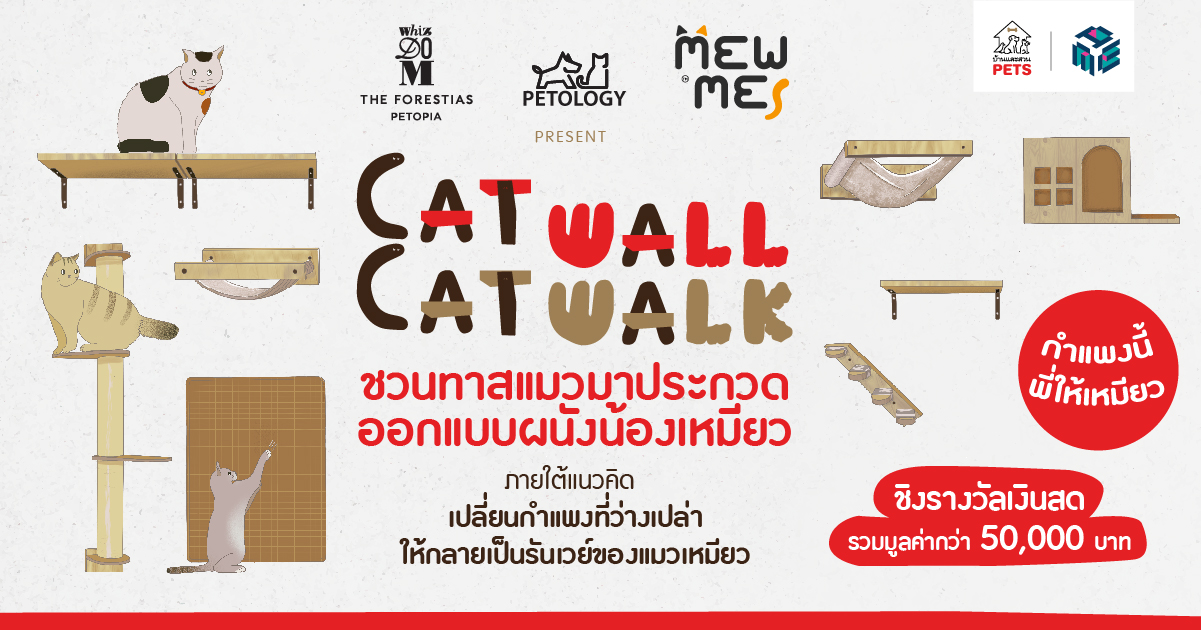 cat wall cat walk