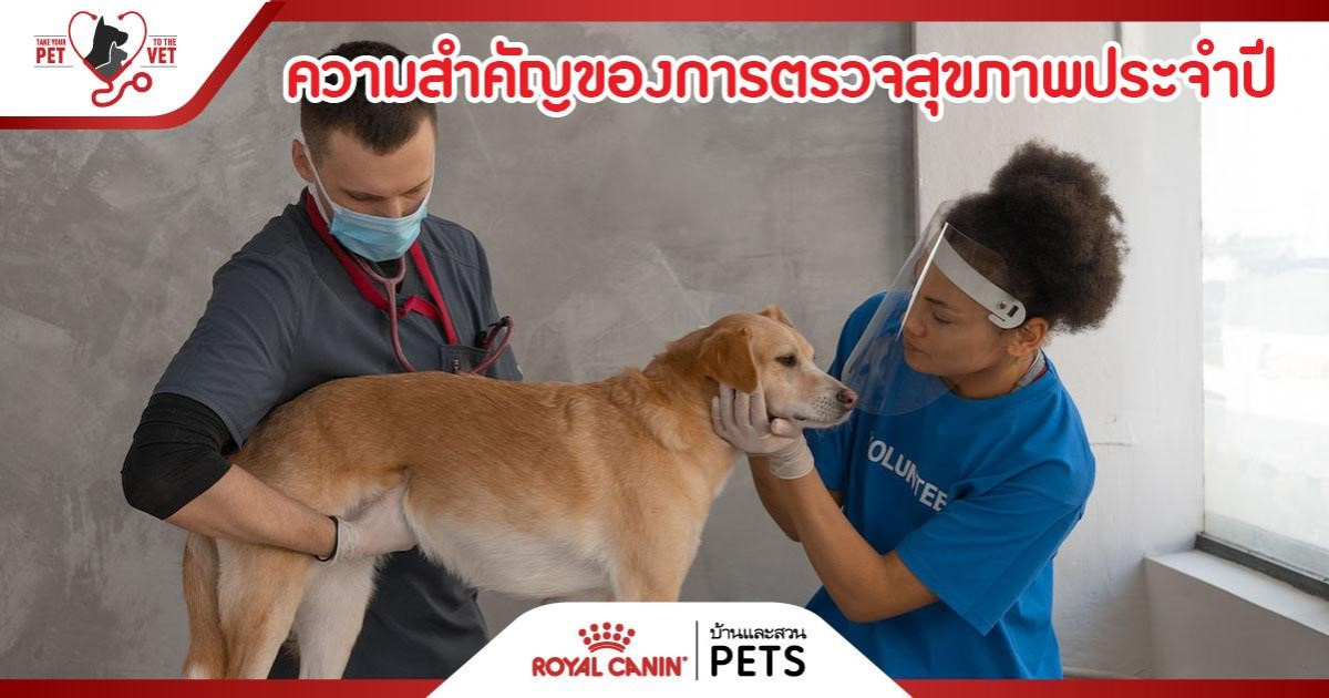 Royal Canin