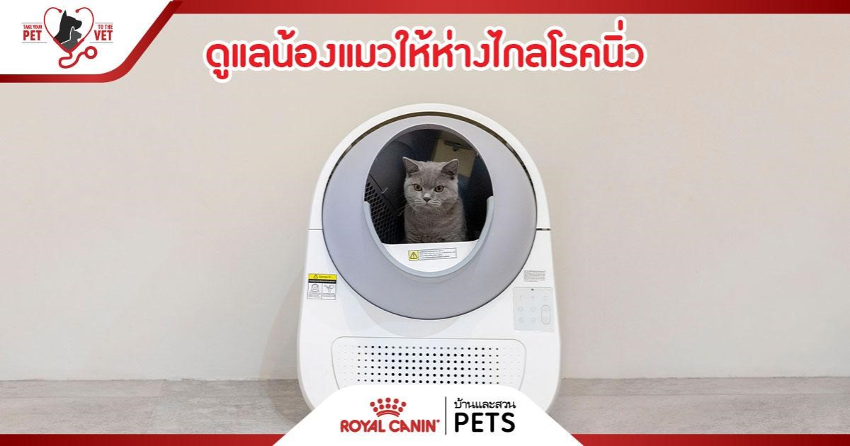 Royal Canin