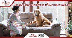 royal canin