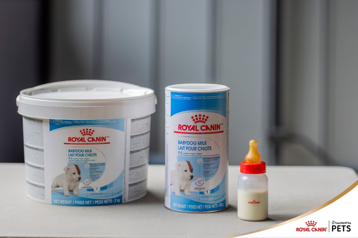นมทดแทนสำหรับลูกสุนัข, โรยัล คานิน,