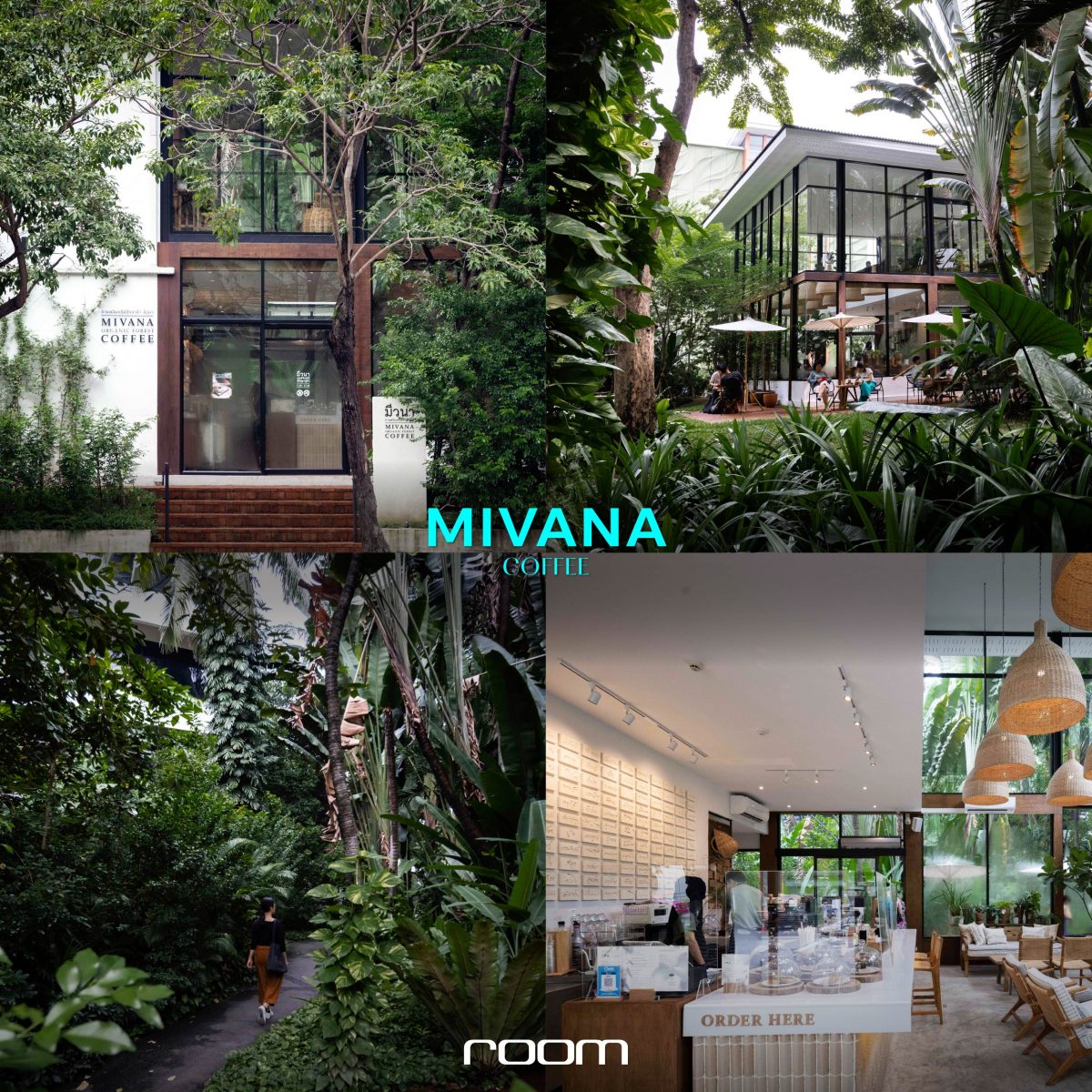 MiVana Organic Forest Coffee 