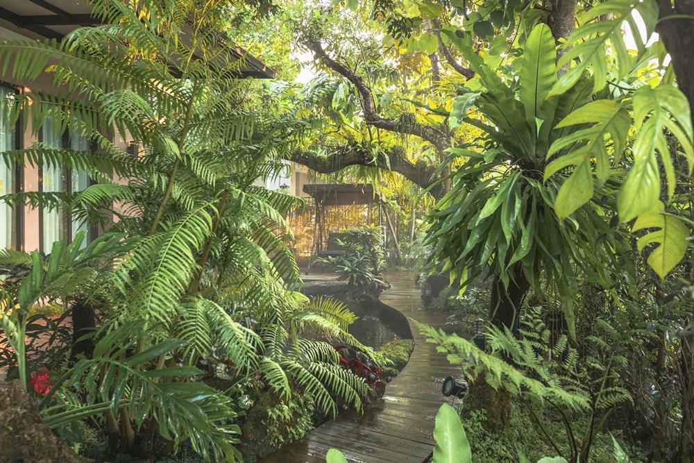 ลำธาร Landscape