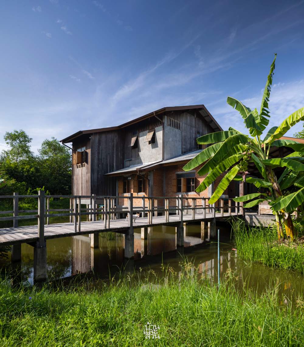 ป่าเหนือสตูดิโอ